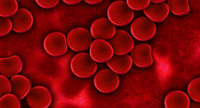 Tips to Raise Red Blood Cells Naturally8