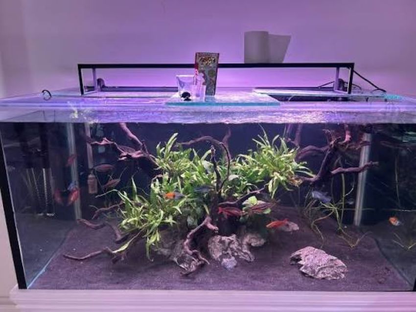Aquarium water treatment products supporting fish health and clean water